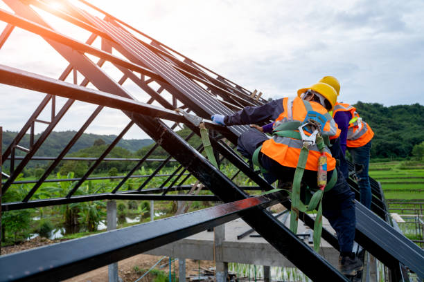 Best New Roof Installation  in Mancelona, MI